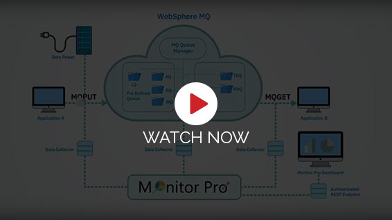 Monitor Pro Video